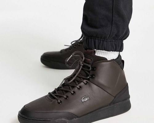 Lacoste sneaker dunkelbraun - in,
