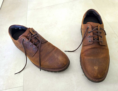 Camel active universe - camel,